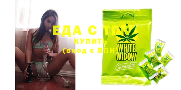 стаф Осинники