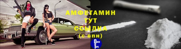 тгк Абаза