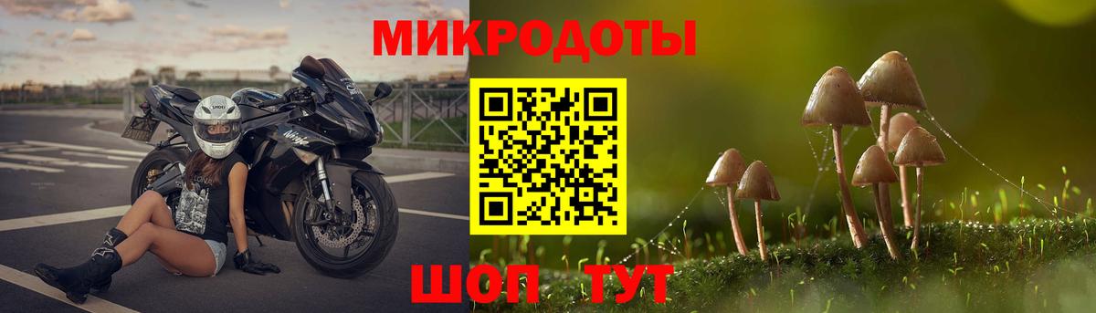 Новотроицк  Псилоцибиновые грибы Psilocybine cubensis  Вход с VPN 